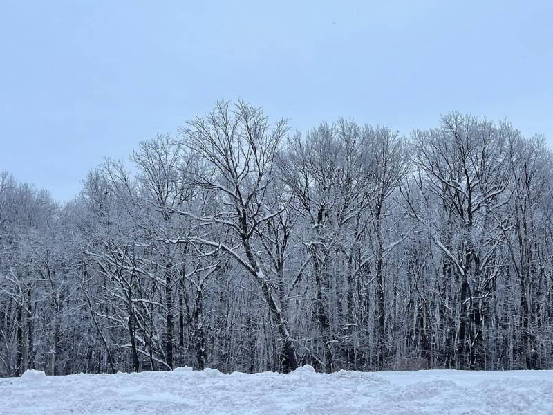 В Самарской области 7 февраля ожидается мороз до -9 градусов