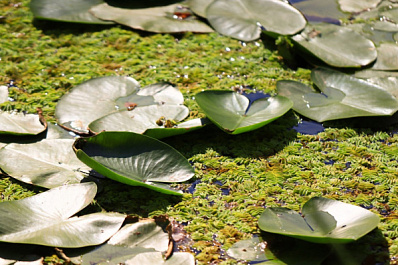 Народные приметы на 30 июня 2025 года: что нельзя делать в этот день