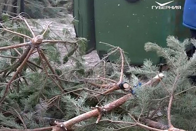 В Самаре приступили к уборке елок с контейнерных площадок во дворах