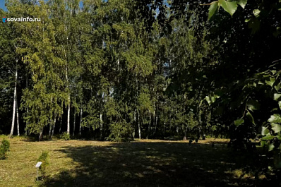 Самарцы привели в порядок территорию Ботанического сада