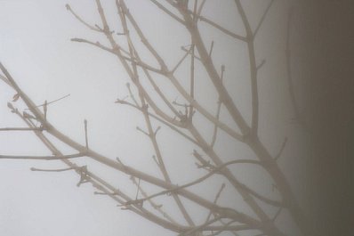 1 марта в Самарской области объявили желтый уровень опасности из-за тумана