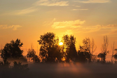Название статьи