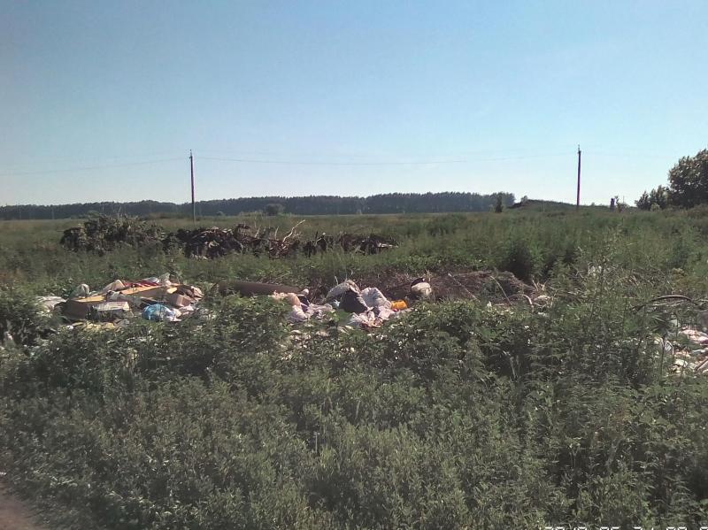 В Богатовском районе ликвидировали две свалки в селе Андреевка 