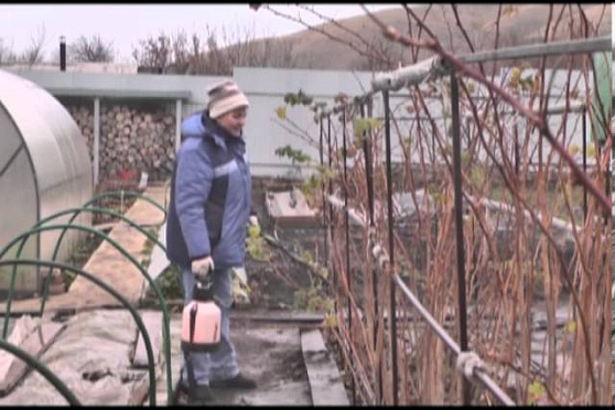 Дачные советы 21.11.2013