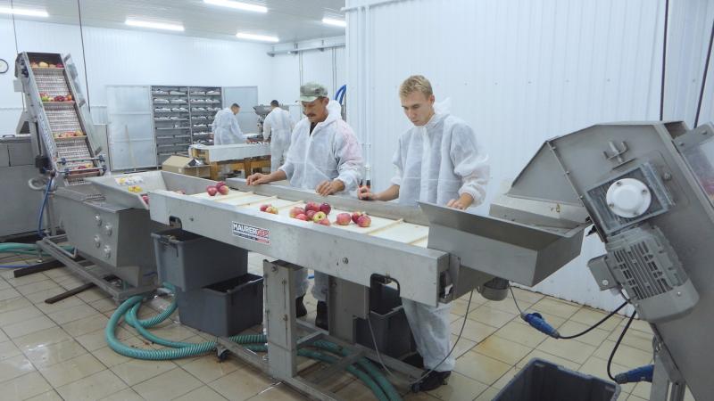 Урожай идей: аграрии осваивают новые рынки