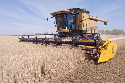 В Самарской области началась массовая уборка озимых