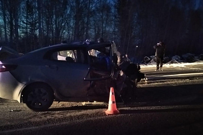 Трое взрослых и двое детей погибли в ДТП с грузовиком в Свердловской области