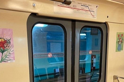 Жители Нижнего Новгорода выбирают имя кроту – символу новых станций метро