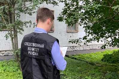 Бастрыкин поручил доложить о ножевом ранении в глаз ребенка-инвалида в Самарской области