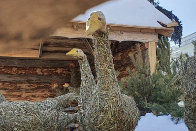 На площади Куйбышева в Самаре построили скотный двор