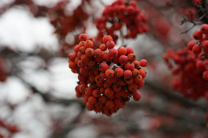 Название статьи
