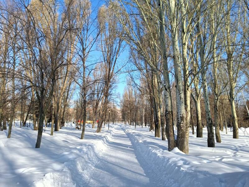 29 февраля в Самарской области потеплеет