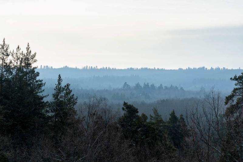 Народные приметы на 27 февраля 2025 года: что нельзя делать в этот день