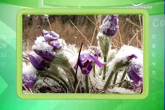 Календарь губернии 19.04.2016