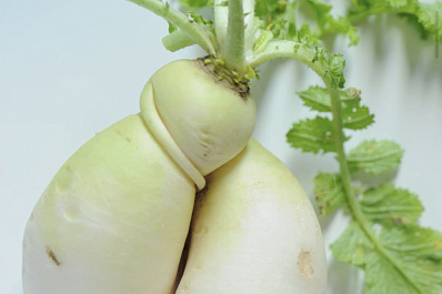 В Роспотребнадзоре рассказали, кому вредна репа