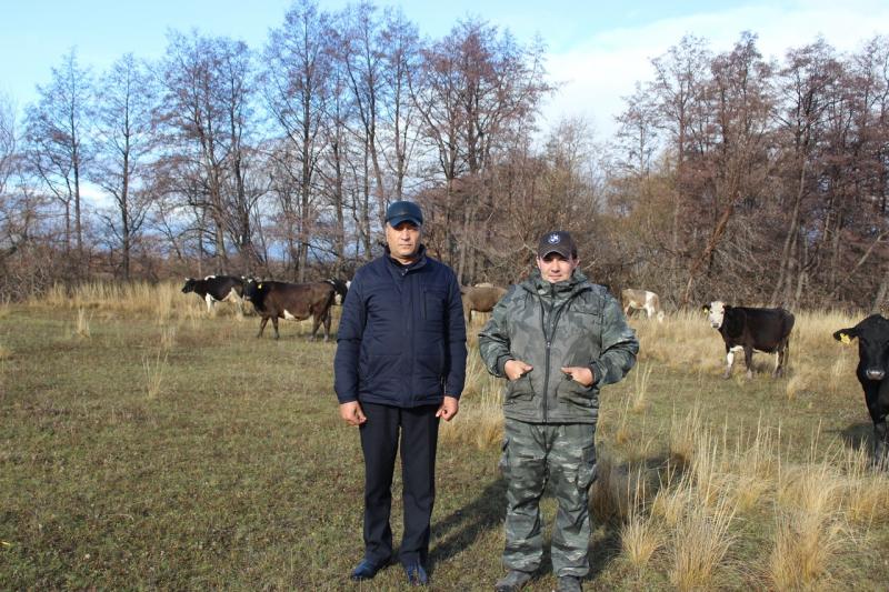 Нелегким путем: как фермеры из Владимировки развивают молочное животноводство, опираясь на господдержку