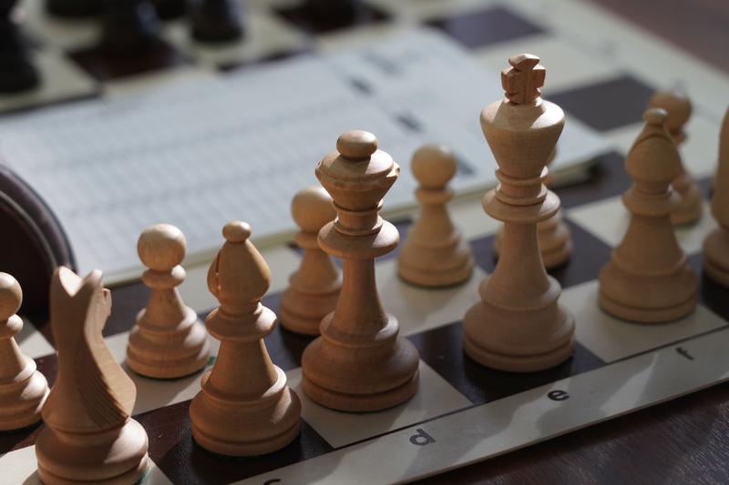 Шахматист из Тольятти выступит на Кубке мира
