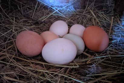 Название статьи