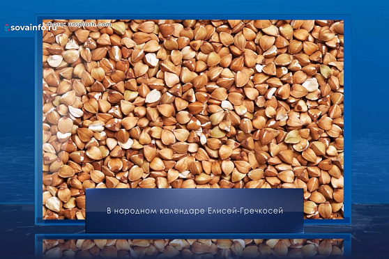 Елисей Гречкосей. Календарь Губернии от 27 июня