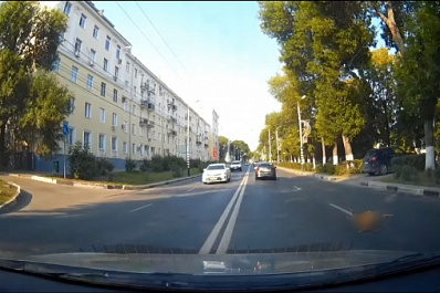 В Самаре на Волжском проспекте сбили косулю