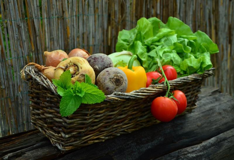 Российские производители почти полностью обеспечивают население страны овощами