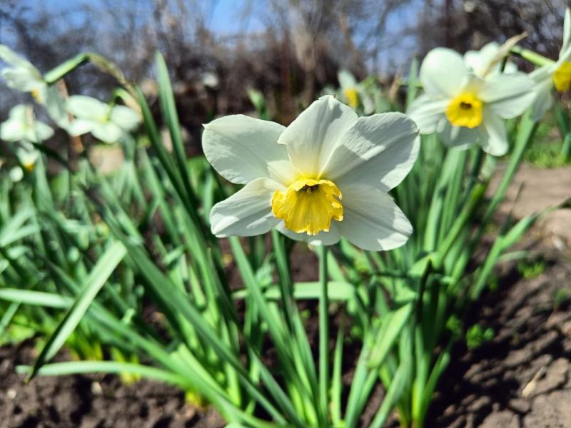 Стал известен прогноз погоды на майские праздники в Самарской области
