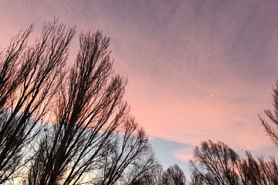 В Самарской области 11 декабря потеплеет до -1 градуса 