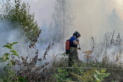 Лесной пожар в Самарской области локализовали