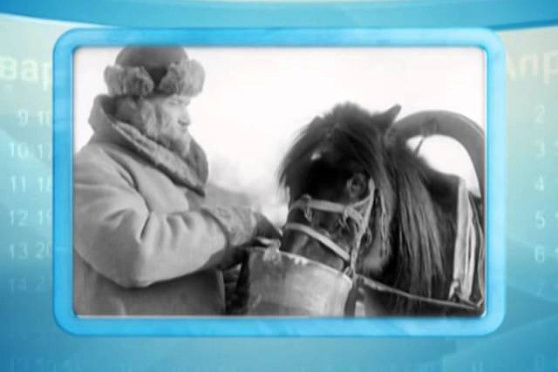 Календарь губернии 5.01.2014