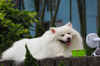 19 августа 2021 года в Самарской области воздух прогреется до + 38 градусов