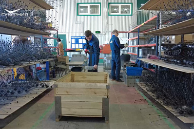 В Тольятти развивается производство электротехнической продукции благодаря господдержке
