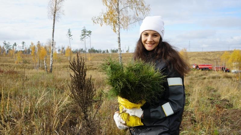 Лесничие и волонтеры высадили молодые хвойные деревья на месте пожара в Ставропольском районе