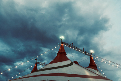 В Самарской области 25 ноября пройдет фестиваль цирковых коллективов