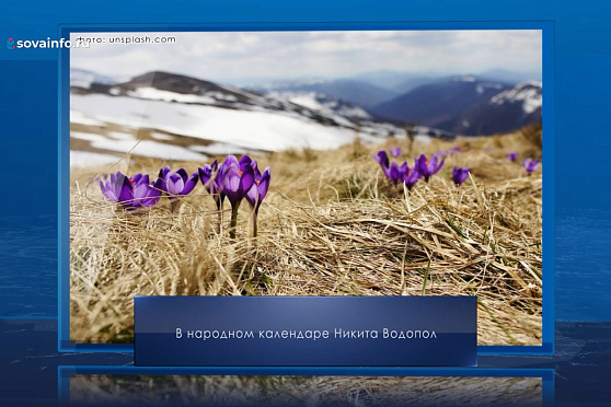Никита Водопол. Календарь Губернии от 16 апреля