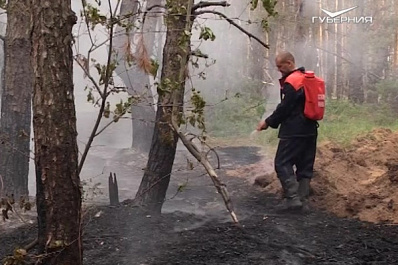 В Самарской области с начала года произошло 59 лесных пожаров