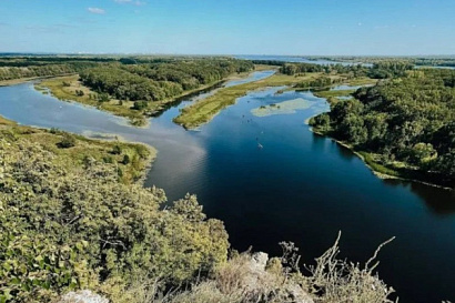 Название статьи