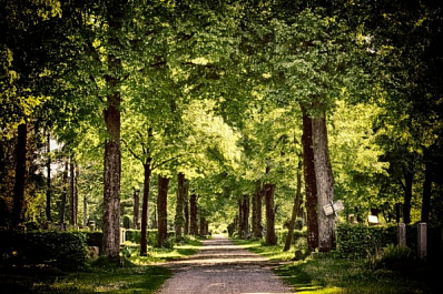 В Самаре могут открыть кладбища
