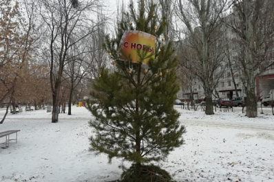 На радость жителям Тольятти закуплено 60 новогодних ёлок