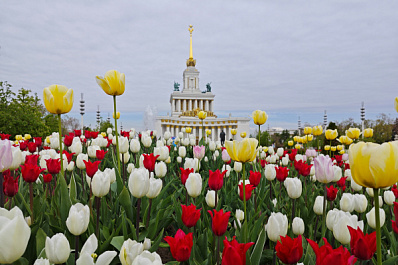 Самарская область представит свои достижения на выставке-форуме на ВДНХ