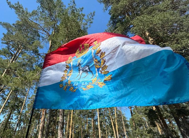 Жители Самарской области участвуют в первом чемпионате по профмастерству среди участников СВО "Абилимпикс"