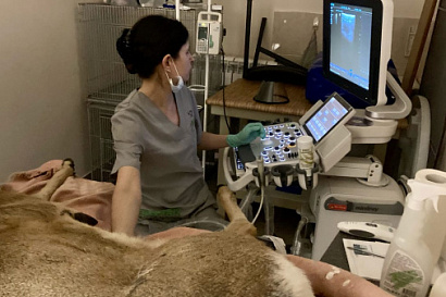 Название статьи