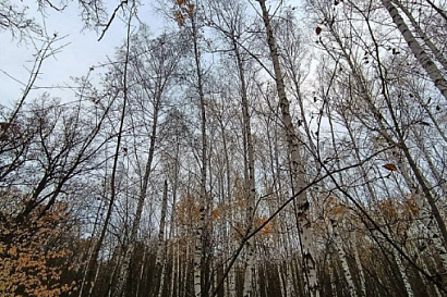 Название статьи