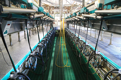 В Самарской области открылся новый молочный комплекс