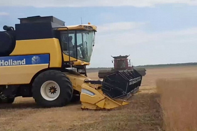 В Большечерниговском районе собрано 3000 тонн озимой пшеницы