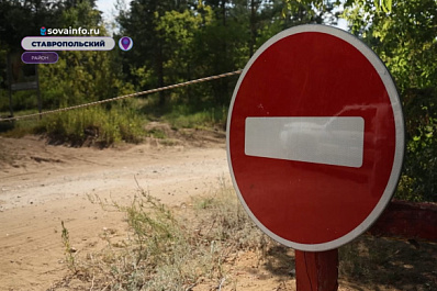 Высокая пожароопасность: в Тольятти усиленно патрулируют леса
