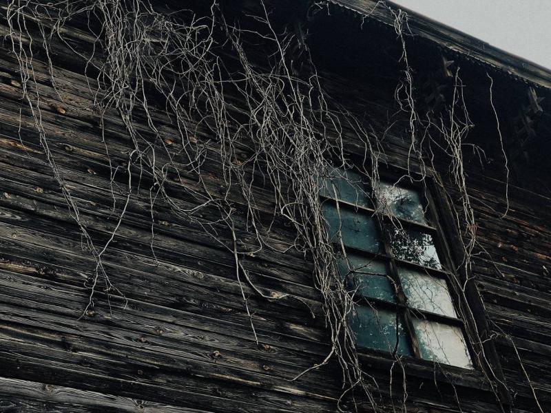 В Самаре начался снос заброшенного дома на улице Артемовской