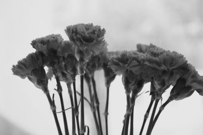 Ушел из жизни ветеран "Крыльев Советов" Борис Широчкин