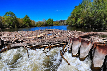 Название статьи