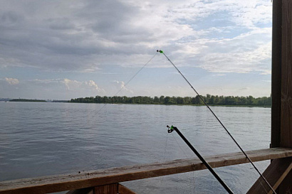 Название статьи