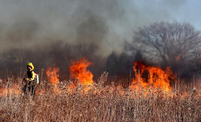 Лес может загореться в любой момент: в Самарской области объявили оранжевый уровень опасности